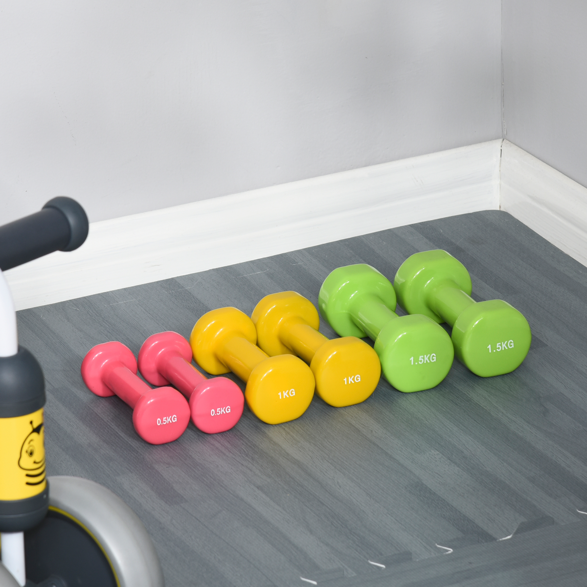6kg Dumbbell Fitness Weights Set for Men and Women, Home Gym Workout