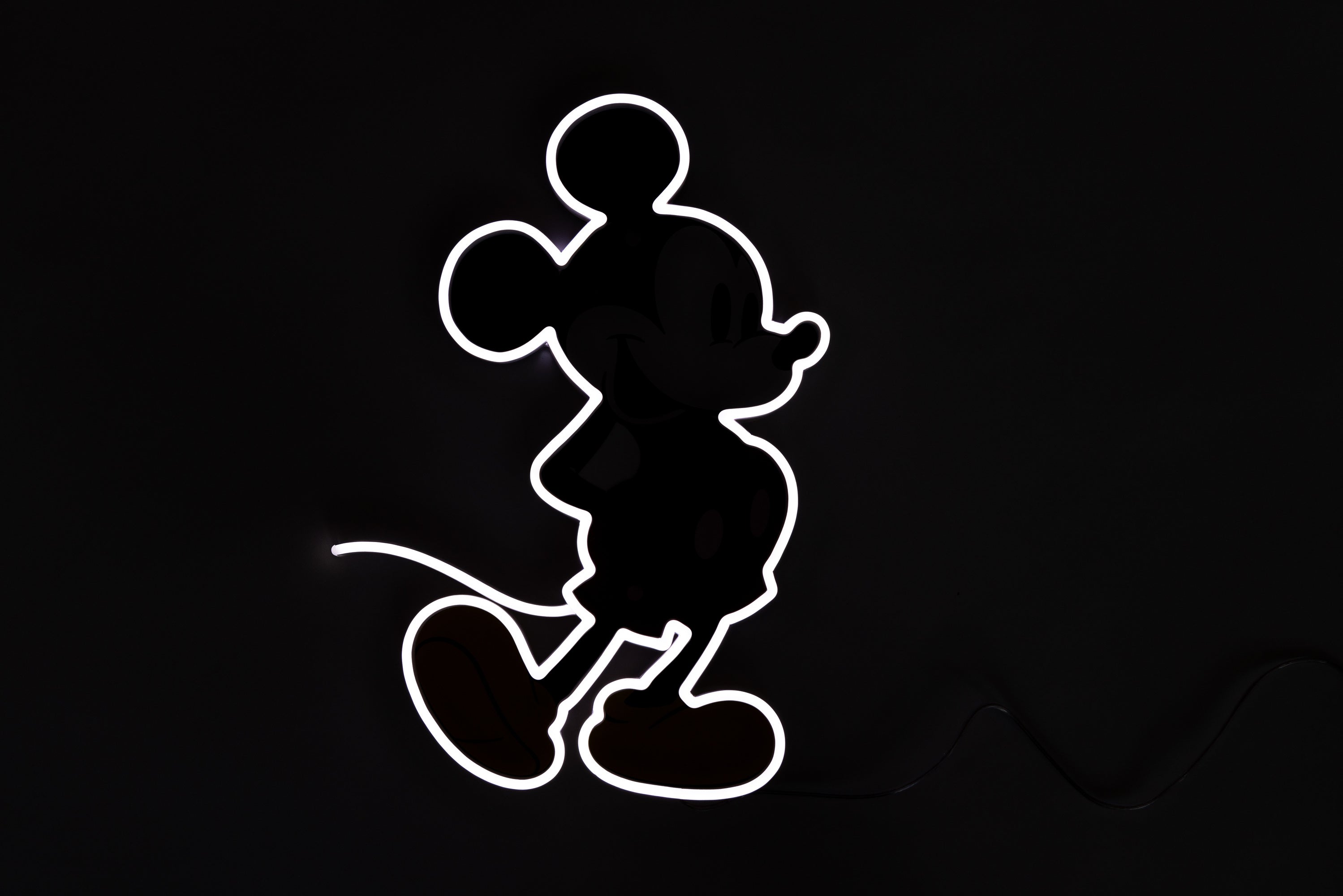 Mickey Mouse Neon Light